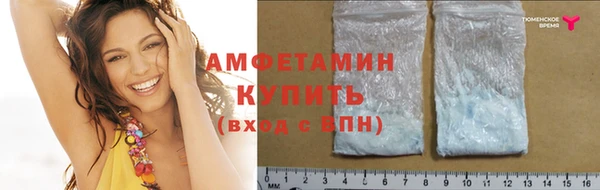 ECSTASY Алзамай