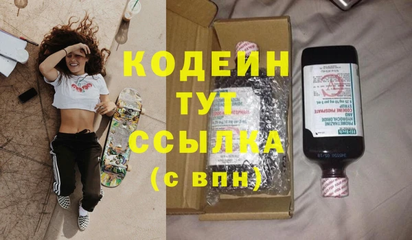 ECSTASY Алзамай