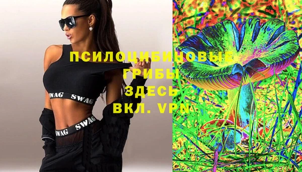 ECSTASY Алзамай