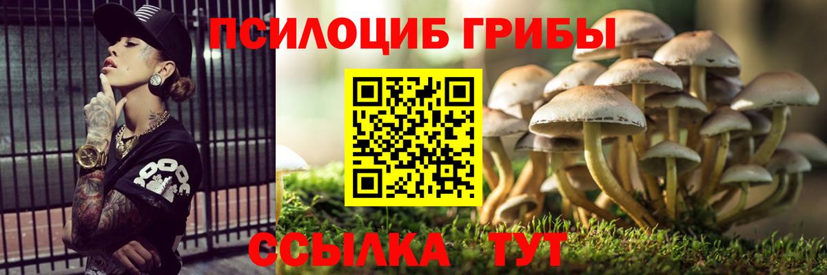 где купить наркоту  Вход с VPN  Березники  Псилоцибиновые грибы GOLDEN TEACHER 